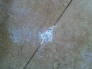 White Powder on Tile
